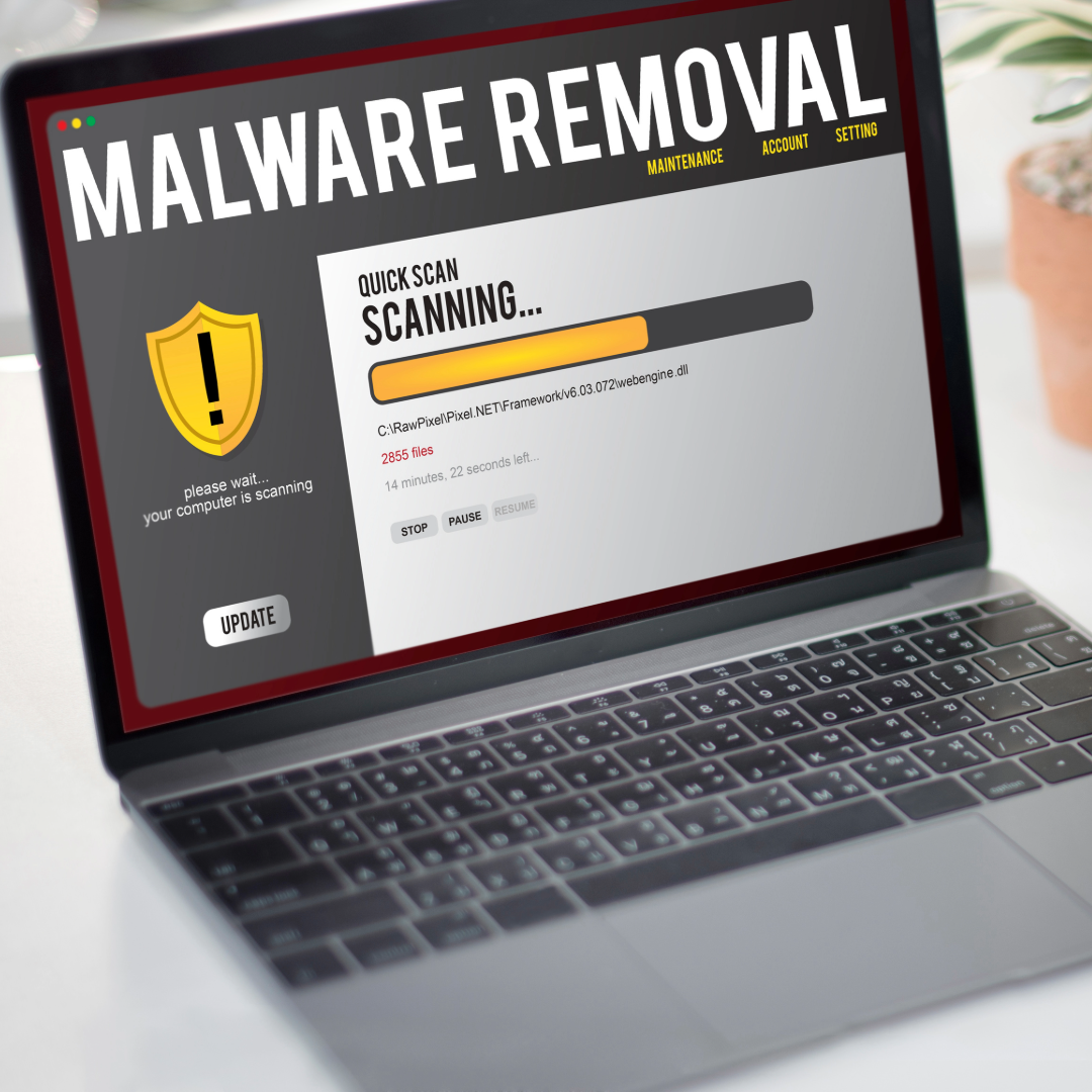 malware removal services